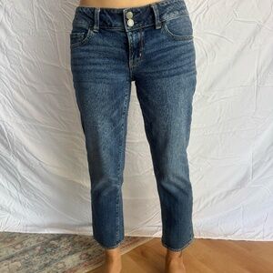 American Eagle artist jeans